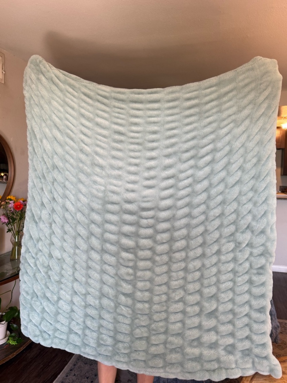 Comfrt Dreamer Cozy Plush Bed Throw Blanket in Sea Glass